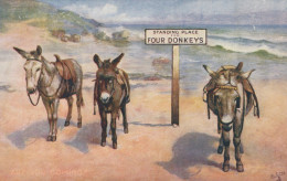 ASINO Animale Vintage CPA Cartolina #PAA129.IT - Donkeys