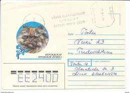 Meter Cover / Soviet Style - 31 December 1992 Tartu - Estonia