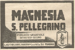 W1693 Magnesia San Pellegrino - Pubblicità Del 1926 - Old Advertising - Reclame