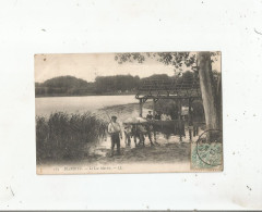 BIARRITZ 184 LE LAC MARION (ATTELAGE DE BOEUFS)  1906 - Biarritz