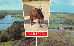 R063360 Glen Trool. Multi View. Dennis. 1978 - World