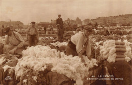 CARTE PHOTO 76 LE HAVRE L ECHANTILLONNAGE DU COTON - Zonder Classificatie