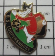 1818C Pin's Pins / Beau Et Rare / SPORTS / CLUB FOOTBALL R.S. LOUPERSHOUSE LOUP TEX AVERY On A Les Droits ? - Fussball