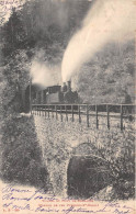 SUISSE - Tunnel Et Pont De Cochable (chemin De Fer Yverdon-Ste Croix) - Train - Yverdon-les-Bains 