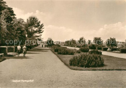 73099119 Heringsdorf Ostseebad Usedom Parkanlage Heringsdorf Ostseebad - Sonstige & Ohne Zuordnung