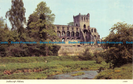 R063438 Jedburgh Abbey. Dennis - World