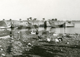 1966 REAL AMATEUR PHOTO FOTO VILA FRANCA DE XIRA PONTE RIBATEJO BARCOS RIO TEJO PORTUGAL AT267 - Places