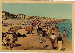 A812 34 HERAULT  CARNON PLAGE LA PLAGE RIVE GAUCHE EN 1950 - Autres & Non Classés