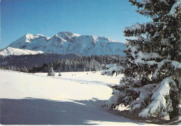38 - Chamrousse - Ski De Fond à La Prairie De L'Arcelle - Au Fond, Le Taillefer - Chamrousse