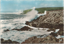 CPSM Tempête Sur Le S Cotes - Autres & Non Classés