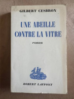 Une Abeille Contre La Vitre - Otros & Sin Clasificación