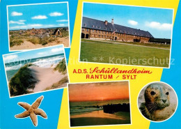 73097893 Rantum Sylt ADS Schullandheim Duenen Strand Robbe Rantum Sylt - Andere & Zonder Classificatie