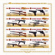 Militaria, Russie,2009 ** TTB Armes Soviétiques Conflit 1941 1945 - Militaria