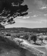 N80 - Photo Originale De PIERRE BOUCHER - SAINT-TROPEZ - Tampon Du Photographe Au Dos - Identifizierten Personen