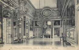 CPA France Versailles (Château) - Versailles (Castello)