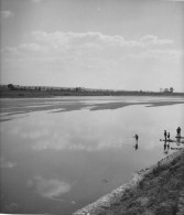 N80 - Photo Originale De PIERRE BOUCHER - Bords De La Loire à BLOIS - Tampon Du Photographe Au Dos - Personas Identificadas