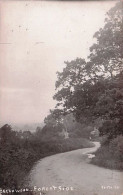Cheshire - Runcorn - BEECHWOOD VILLAGE - Forest Side - Other & Unclassified
