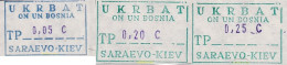 730443 MNH UCRANIA 1994 EJERCITO UCRANIANO PARA LA ONU EN BOSNIA - Ukraine