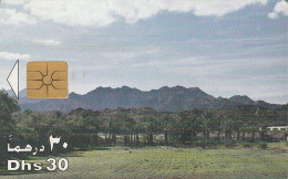 PHONE CARD EMIRATI ARABI  (CZ2429 - Emirats Arabes Unis