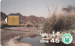 PHONE CARD EMIRATI ARABI  (CZ2432 - Ver. Arab. Emirate