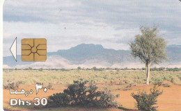 PHONE CARD EMIRATI ARABI  (CZ2430 - United Arab Emirates