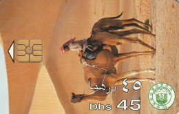 PHONE CARD EMIRATI ARABI  (CZ2407 - Emirats Arabes Unis