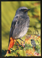 ANDORRA Correos (2023) Carte Maximum Card - Fauna Cotxa Fumada, Phoenicurus Ochruros, Black Redstart, Rougequeue Noir - Other & Unclassified