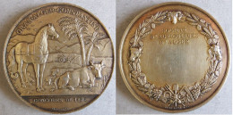 Médaille Coloniale En Argent Vermeil Oran, Alger, Constantine, Concours 1876 Algerie Par. E .ROYER - Autres & Non Classés