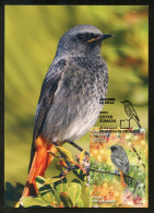 ANDORRA Correos (2023) Carte Maximum Card - Fauna Cotxa Fumada, Phoenicurus Ochruros, Black Redstart, Rougequeue Noir - Autres & Non Classés