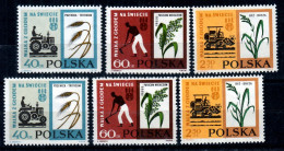 ⁕ Poland / Polska 1963 ⁕ Fight Against Hunger Mi.1371-1373 X2 ⁕ 6v MNH - Unused Stamps