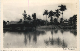 Vietnam - Jardin D Arequiers - Vietnam