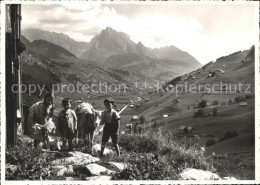 11634015 Alt St Johann Kinder Mit Ziegen Schafberg Alt St Johann - Otros & Sin Clasificación