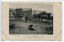 GRÈCE CPA Ecrite En 1917 * SALONIQUE Char à Fourrages ( Fourrage Attelage Boeufs Chiens ) Editeur Rollet - Grèce