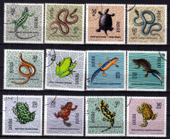 ⁕ Poland / Polska 1963 ⁕ Reptiles And Amphibians Mi.1393-1404 ⁕ 12v Used - Gebraucht