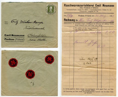 Germany 1929 Cover & Invoice; Pockau (Flöhatal) - Emil Neumann, Rauchwarenzurichterei; 30pf. Lessing - Covers & Documents