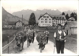 11632803 Rietbad Alpabtrieb Beim Kurhaus Rietbad Nesslau - Otros & Sin Clasificación