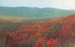 R063546 Panoramic Vie Of Stamford Valley From Hairpin Turn. Mohawk Trail. Mass - World