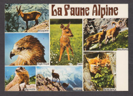 089969/ Faune Des Alpes - Sonstige & Ohne Zuordnung