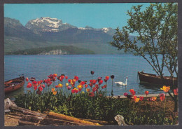 123655/ ANNECY, La Tournette Et Le Lac - Annecy