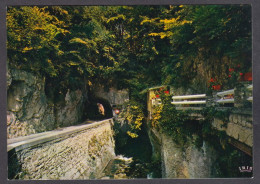 124314/ SAINT-MARTIN-EN-VERCORS, Les Barraques, Entrée Des Grands Goulets, La Vernaison - Andere & Zonder Classificatie