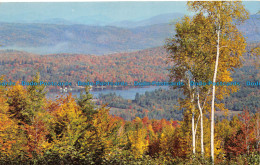 R063548 Streeter Pond. Sugar Hill New Hampshire. Tichnor - World