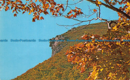 R063551 Old Man Of The Mountains. Franconia Notch. N. H. Don Sieburg - World