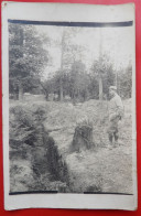 Carte Photo  Anime Militaire Tranchee Argonne - Guerre 1914-18