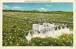 Etats Unis - Agriculture - Spraying Maine Potato Field In Bloom - Machine Agricole - Animée - Colorisée - CPA - Voir Sca - Otros & Sin Clasificación