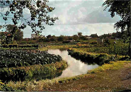 80 - Amiens - Les Hortillonnages - Carte Neuve - CPM - Voir Scans Recto-Verso - Amiens