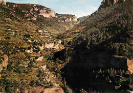48 - Les Gorges Du Tarn - Panorama Des Terrasses Dans La Vallée De La Jonte - Au Fond Au Pied De La Falaise Le Village D - Gorges Du Tarn