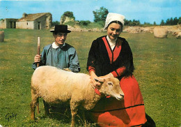 Animaux - Moutons - Le Bas Poitou - Groupe Follclorique Fontenaisien - Avant L'agnelage. - Folklore - CPM - Voir Scans R - Autres & Non Classés