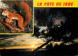 Animaux - Ecureuils - CPM - Voir Scans Recto-Verso - Otros & Sin Clasificación