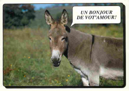 Animaux - Anes - Carte Humoristique - Carte Neuve - CPM - Voir Scans Recto-Verso - Ezels