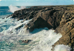 56 - Presqu'Ile De Quiberon - CPM - Voir Scans Recto-Verso - Quiberon